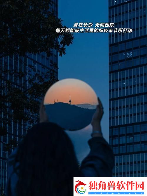 镜子里的诡异交汇：笑谈科技界的惊世奇缘
