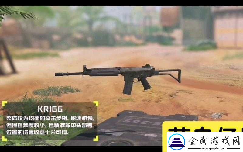 全面解析使命召唤-6-从新手到高手的通关秘籍与策略指南