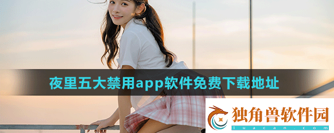 夜里十大禁用软件APP：揭秘背后的秘密