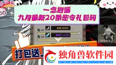 一念逍遥2024年10月最新密令
