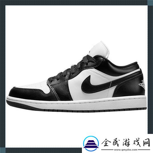 "科技界的JORDAN炫彩：黑与白的独特魅力-引人入胜！"