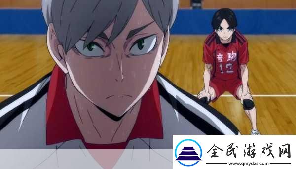 排球少年燃情回归