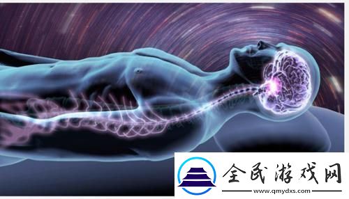 猫之城睡眠队搭配推荐：打造完美梦境的最佳组合