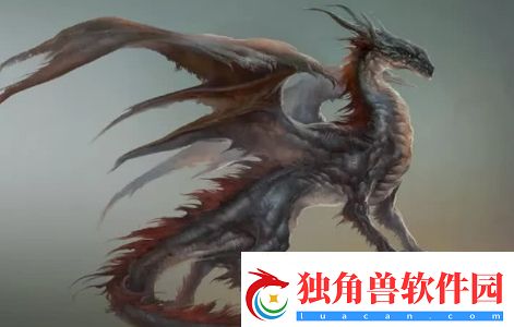 龙系长相是什么梗络用语龙系长相梗意思及出处分享