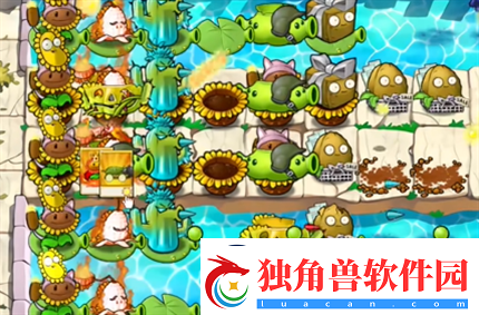 pvz杂交版英雄模式埃德加二世过关攻略