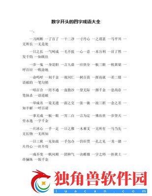 一个四一个大是什么成语