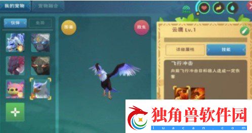 创造与魔法云鹰饲料怎么做