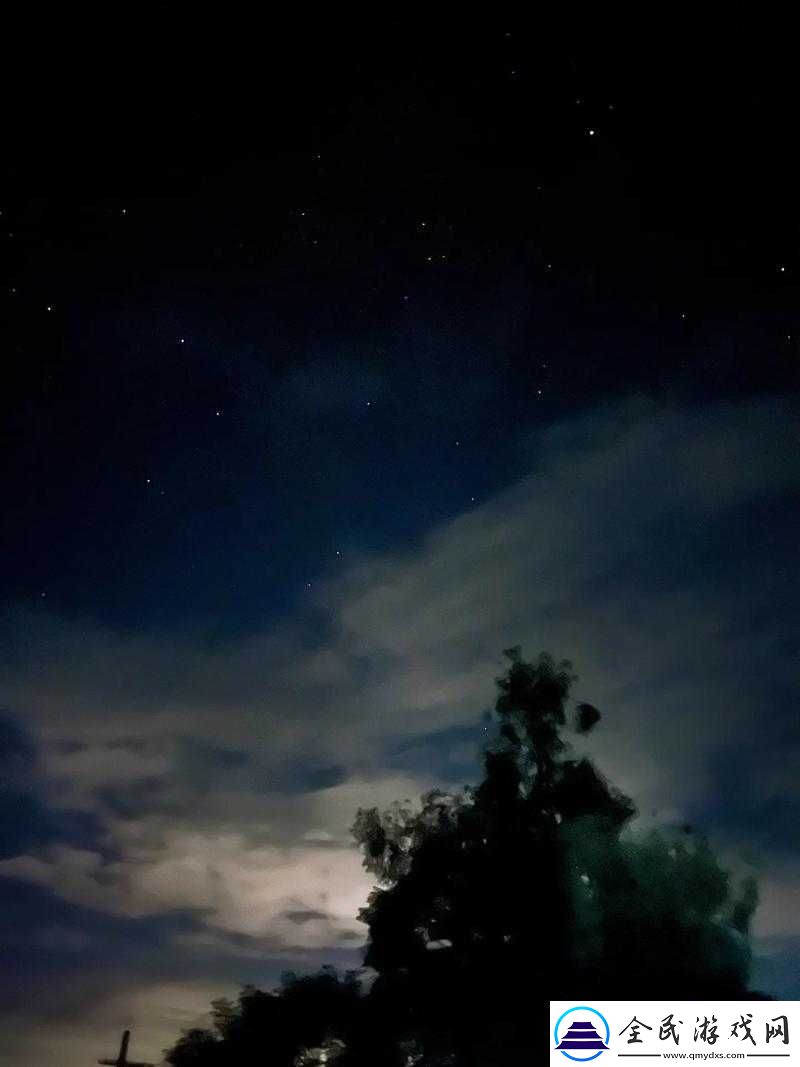 深夜福利导航：给你一个不一样的夜晚