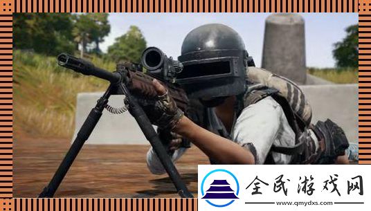 百“姿”千态-“鸡”动时代