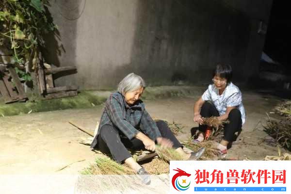 耕耘大婶的肥沃的土地：耕耘大婶的肥沃土地：丰收背后的秘密