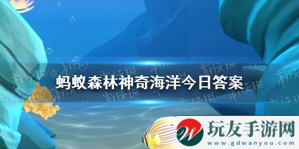 在所有知道的鲸类中最长寿的是  神奇海洋11月11日答案最新！