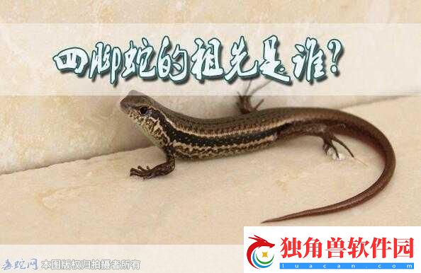 民间说法称清明蔗毒过蛇真正原因是-背后的科学秘密