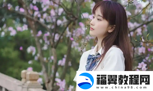 成免费的crm1688-粉丝评论：适合中小企业的完美解决方案！