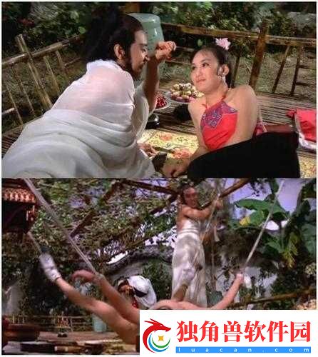 恨锁金瓶醉闹葡萄架之奇情轶事