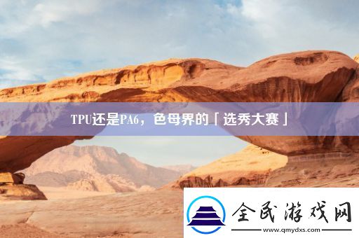 TPU还是PA6-色母界的「选秀大赛」