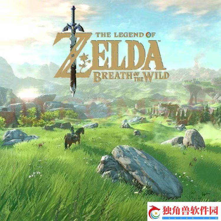 任天堂Switch游戏卡带