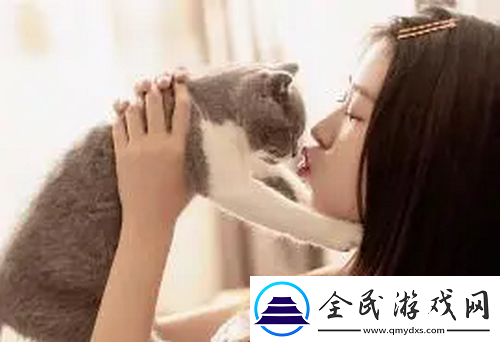 成全影视大全在线观看国语：全程流畅不卡顿，资源丰富任你选！