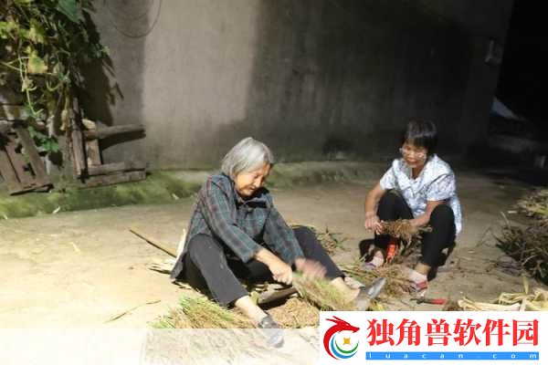 耕耘大婶的肥沃的土地