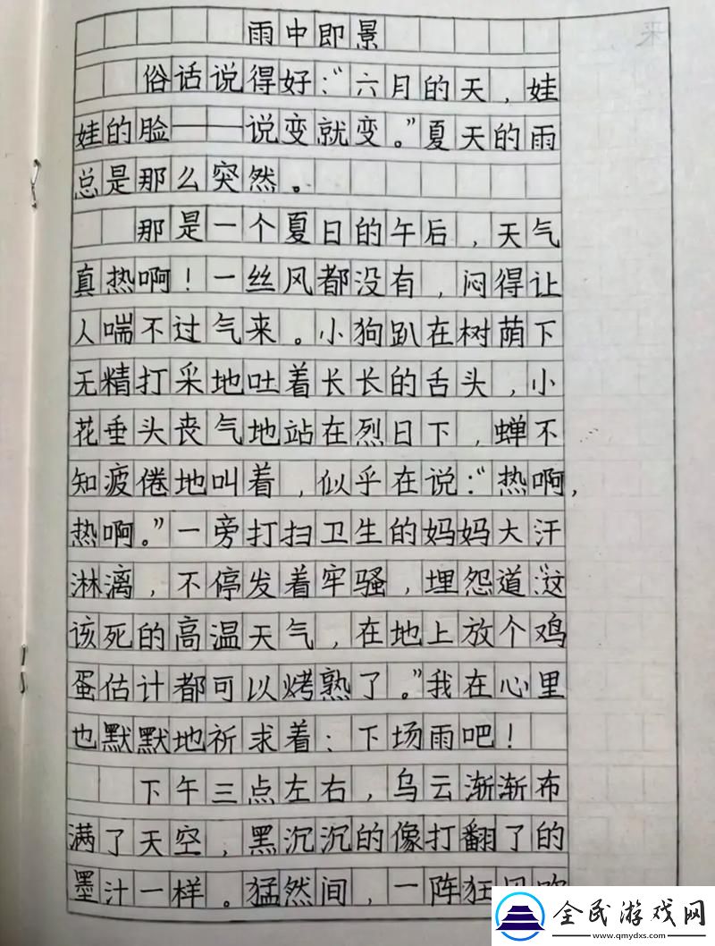 "切丝"新时代：创新调料包里的科技小作文