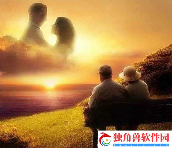 JAVAPARSERHD-夫妻：携手相伴的人生
