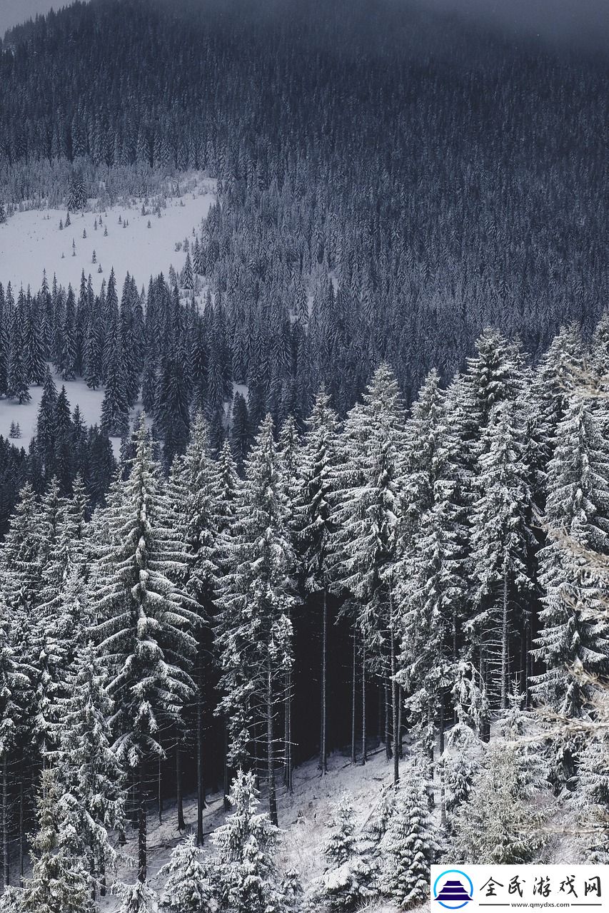 逆水寒雪河