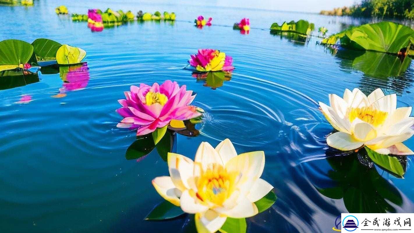 中国-Windows-野外：探索自然之美