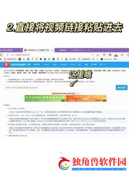 100款夜间禁用B站视频软件-1.-夜间观看无阻-B站视频禁用软件解析