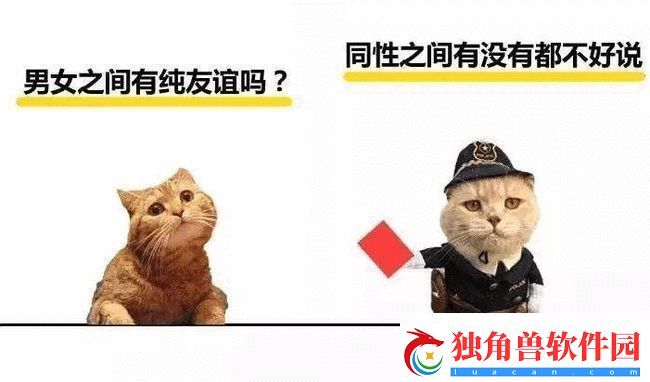 埃及猫和小男孩瑟瑟的奇妙友谊：揭开迷人瞬间的故事