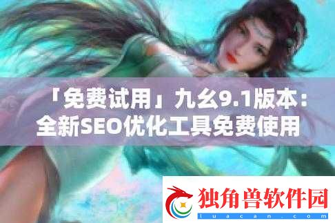 九幺9.1免费版安装教程及步骤