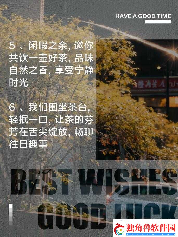 300一晚同城约茶：寻找茶友享受宁静时光