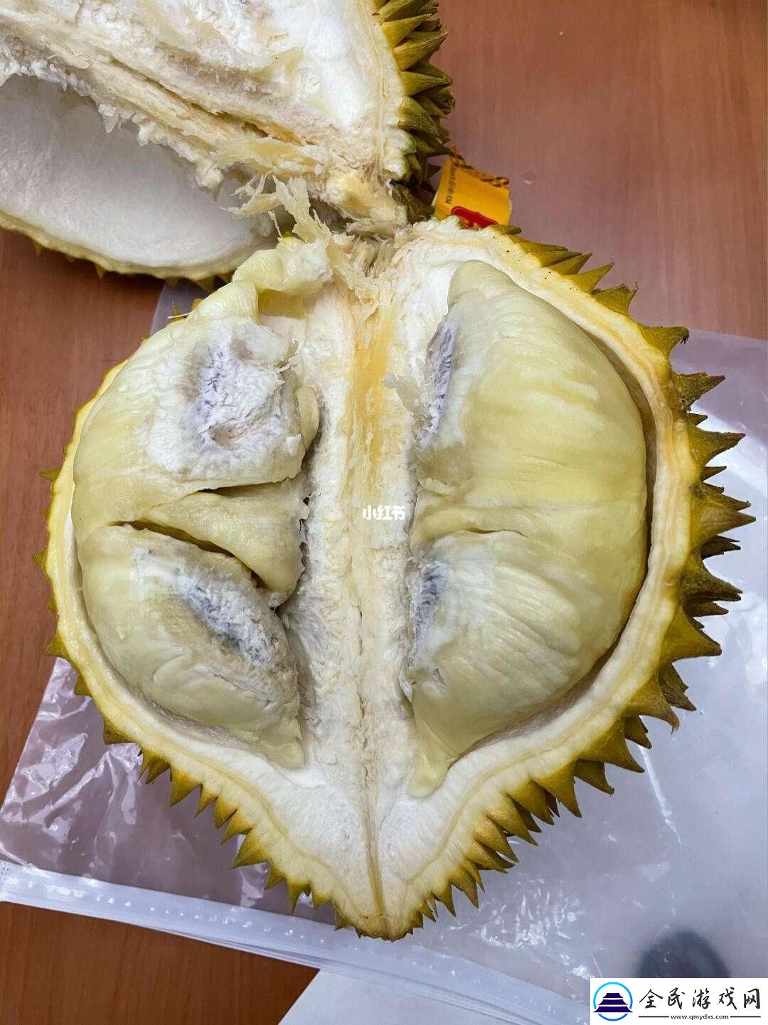 榴芒色的奇遇：忘返503的遐想