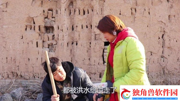 饭碗下的慈悲：桥下乞丐的盛宴上舆论的狂欢