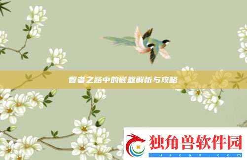 智者之路中的谜题解析与攻略
