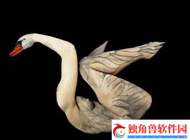 大胆艺术：探索人文之美