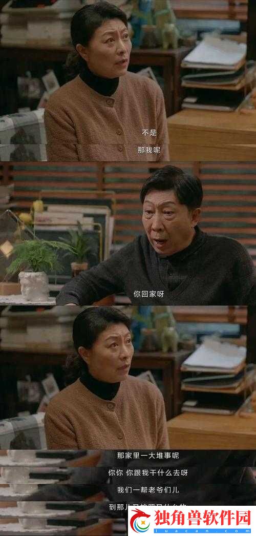 大将军-1V2LH-剧情解析：深度剖析与亮点解读
