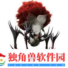 怪物猎人荒野刺花蜘蛛如何组建最佳蜘蛛猎人阵容-怪物猎人荒野刺花蜘蛛最强蜘蛛怪物狩猎技巧