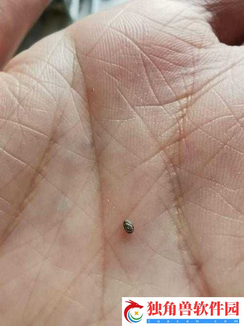有一根又黑又硬的东西是什么