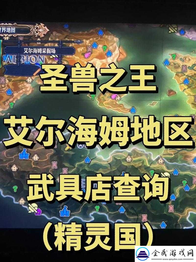 武器之王饰品全方位解析-探寻游戏中种类丰富的各类饰品