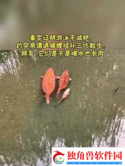 女人鲤鱼喝水图解大全之详细解析