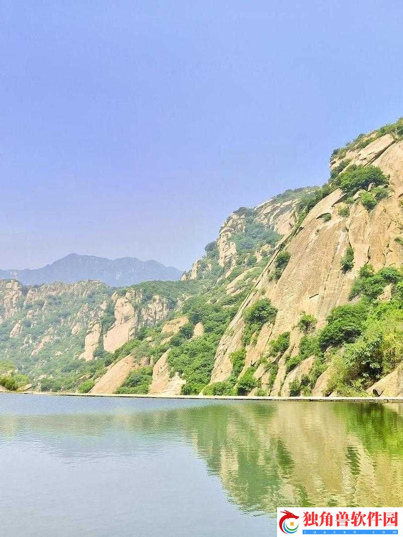 人狗配方大全图片：探秘宠物与人类的奇妙组合