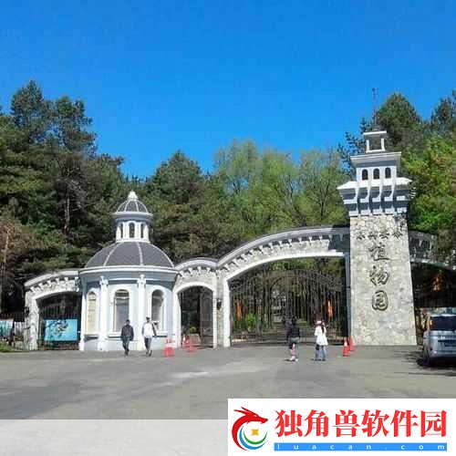 如何进入伊春园2023：1.-如何顺利进入伊春园-畅游自然之美