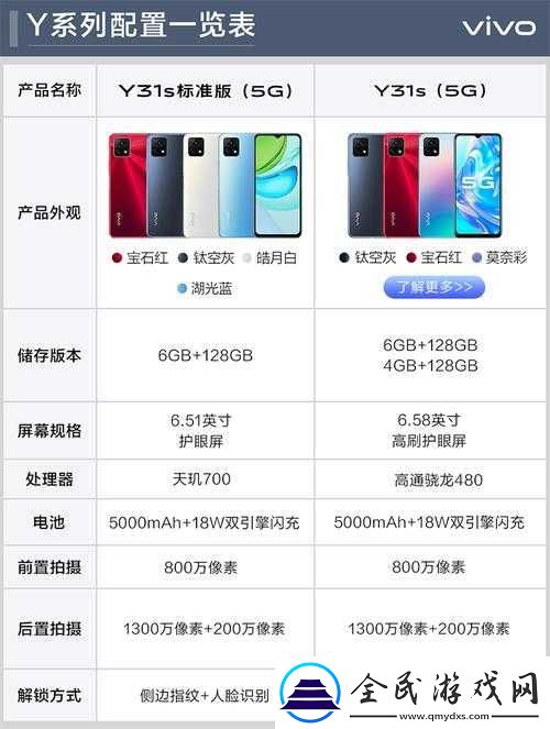 y31s-和-y31s-标准区别更新了：你需要知道的要点