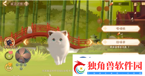 忘川风华录名士猫怎么获得