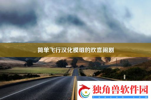 简单飞行汉化模组的欢喜闹剧