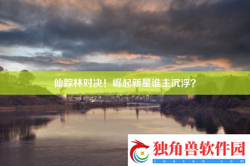 仙踪林对决！崛起新星谁主沉浮