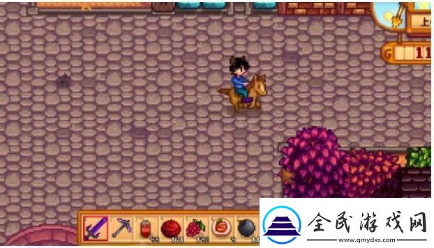 星露谷物语海莉事情在哪里