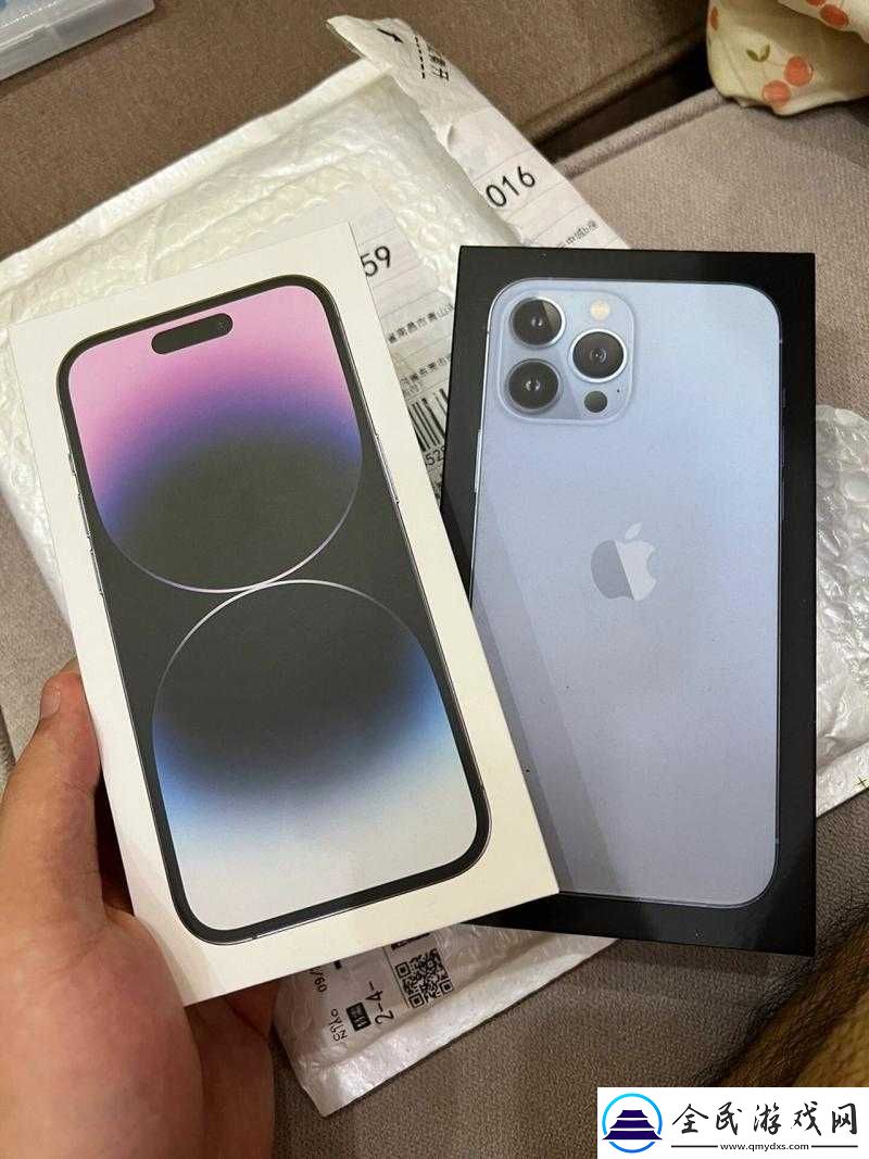 HD2LINODE-日本成熟-IPHONE69：一场跨越时空的激情之旅