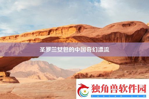 圣罗兰女包的中国奇幻漂流