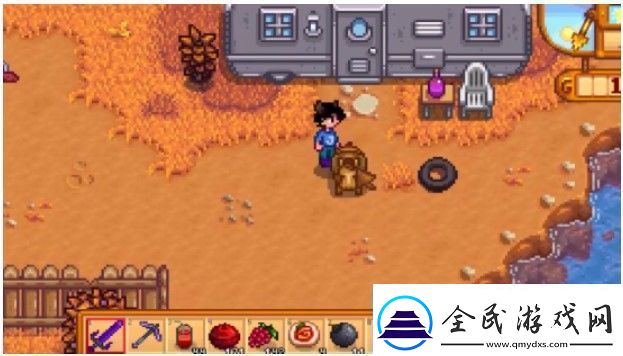 星露谷物语海莉事情在哪里