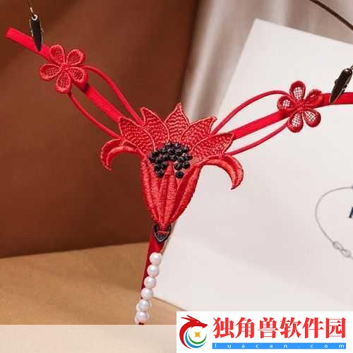 新娘子的t字裤：1.-新娘子的T字裤：婚礼上的性感秘密